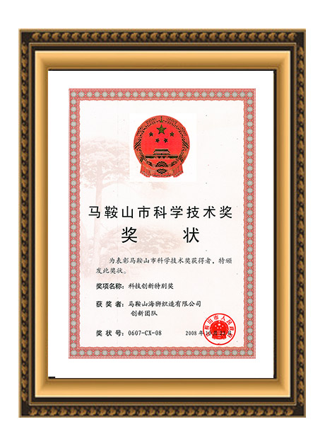 科技创新特别奖