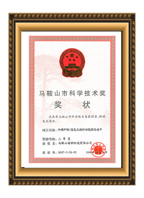 马鞍山市科学技术奖奖状